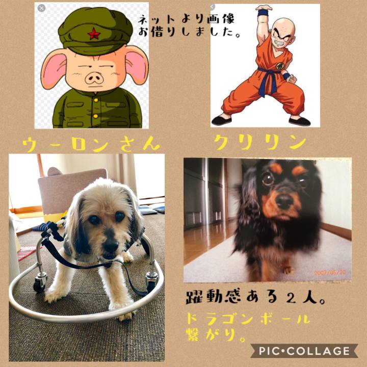 27f97a49 9369 4f4b 849c b1c69f083a6e 1539258226841