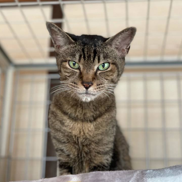 27f9bb00 1cb8 47fd 940a c65ea1168b45 1624931510630