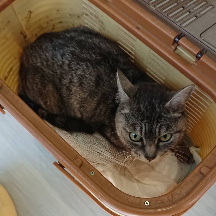 27f9c576 6534 432e b043 42206266180b 1550998717260