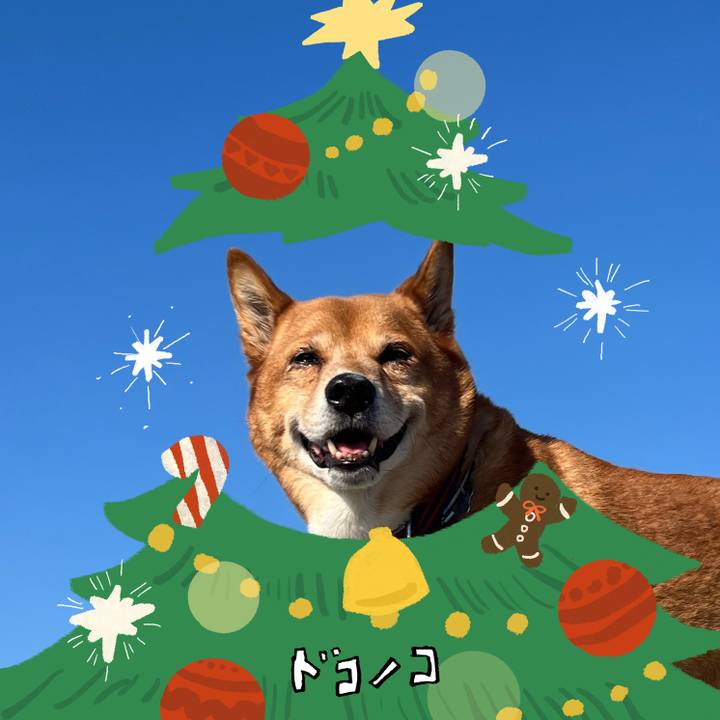 27fa0b97 6f6c 42e6 8a5c fd4d2d800463 1762128958269