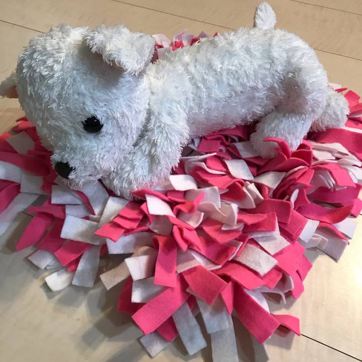 27fa0bcb 4e97 4a81 b665 b70e5ac507c3 1588335166842