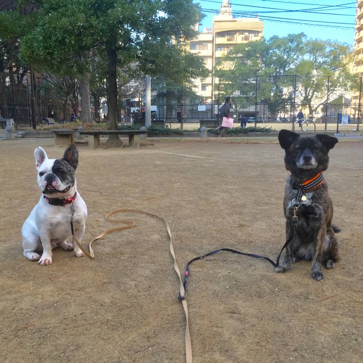 27fa2059 40e9 40b8 ad4d 09994fa20b8e 1547260972265