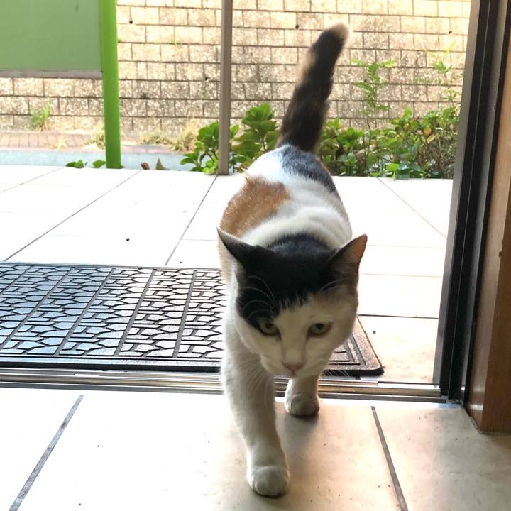 27fa2800 bb25 42f3 a2d0 df2314fce29b 1635717988862