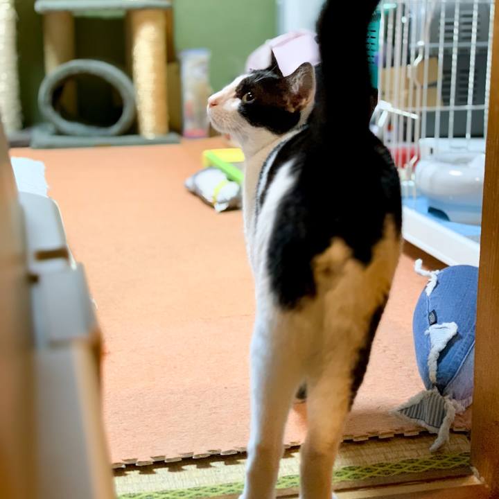 27fa2cc2 5574 4793 aefe d8cd8396d9fa 1538967018124