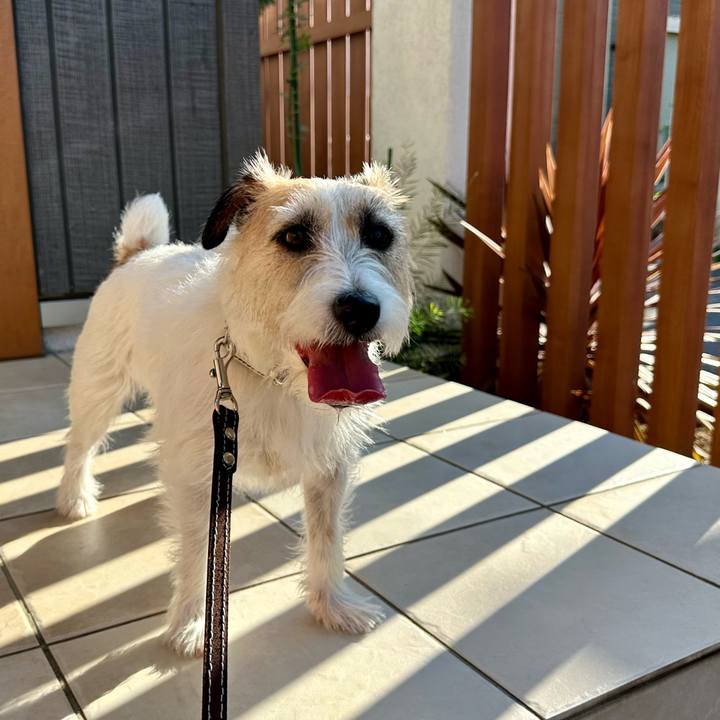 27fa3c2a 8563 4f53 bcfd 466a6f3b9565 1750227146110