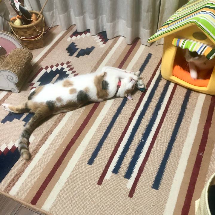 27fa5553 092b 4182 94f4 d795c20bd552 1579009824236