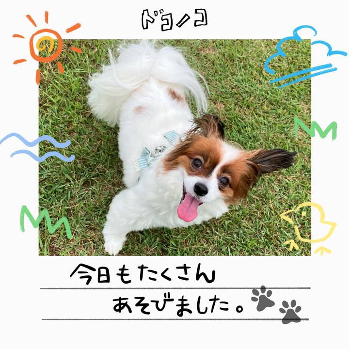 27fa9c09 5028 4bde 8b11 26d9300383b6 1755156582623