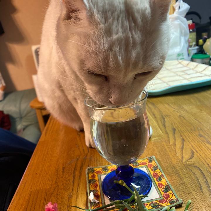 27fab6c7 cc17 4c40 a4b6 3c340f074b8e 1643579065825