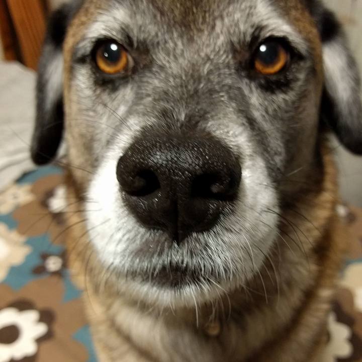 27fae491 6d61 4313 a341 cfa624d5ead8 1698888587515