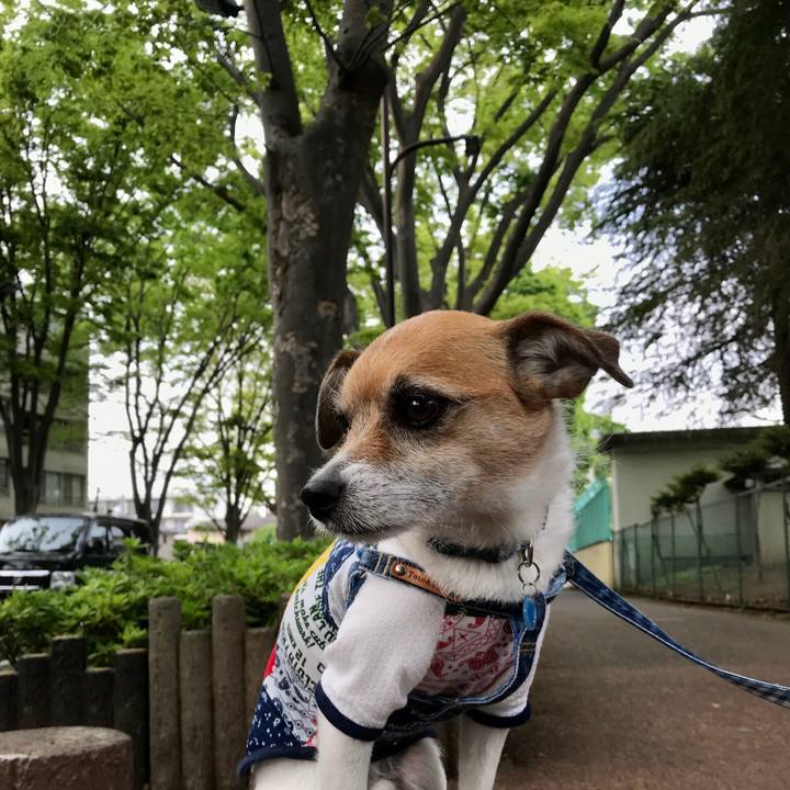 27fb1073 a042 4eda 805c 832d73d123a9 1556885724705