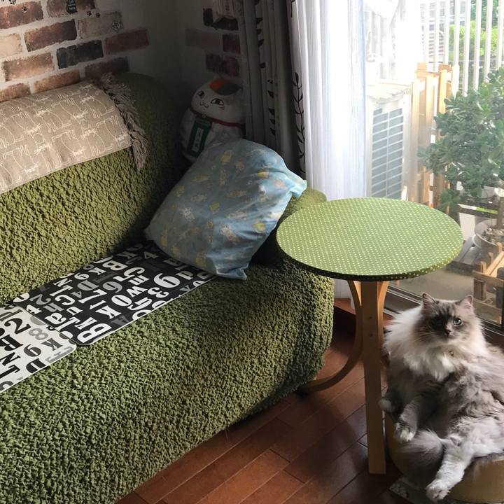 27fb429a 1d30 4c5a a5bb 02a6810d5bd2 1524437813463