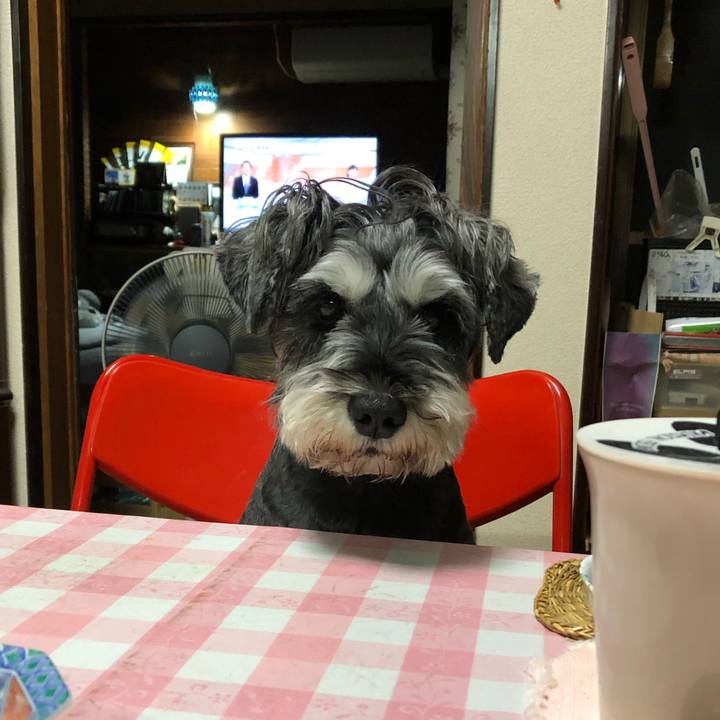 27fb6ef1 3a50 41aa 8d0d f7775e090e15 1633090448358