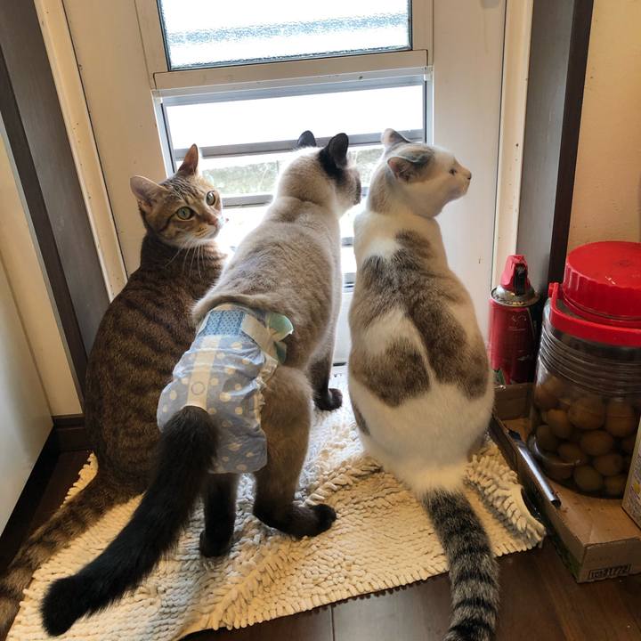 27fb7f44 dc39 4e8e b8c8 b6af11a5fdb1 1564404531571