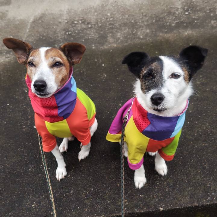 27fb9c03 883a 4ac5 986d bd9234cd4651 1761351714145