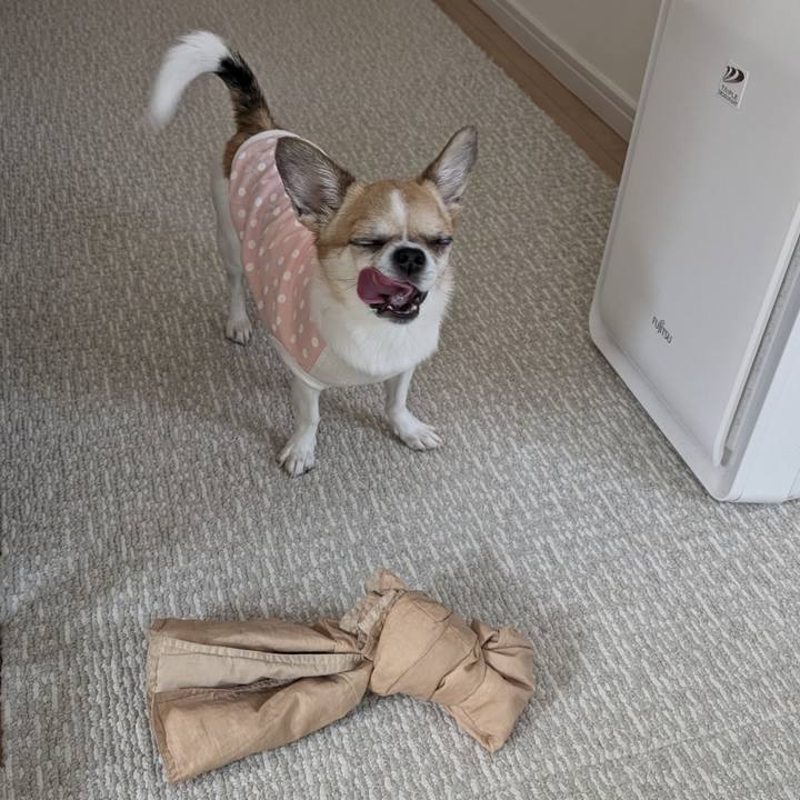 27fbd8d1 fdf7 467f 9300 cc67d781f8b8 1721727068858