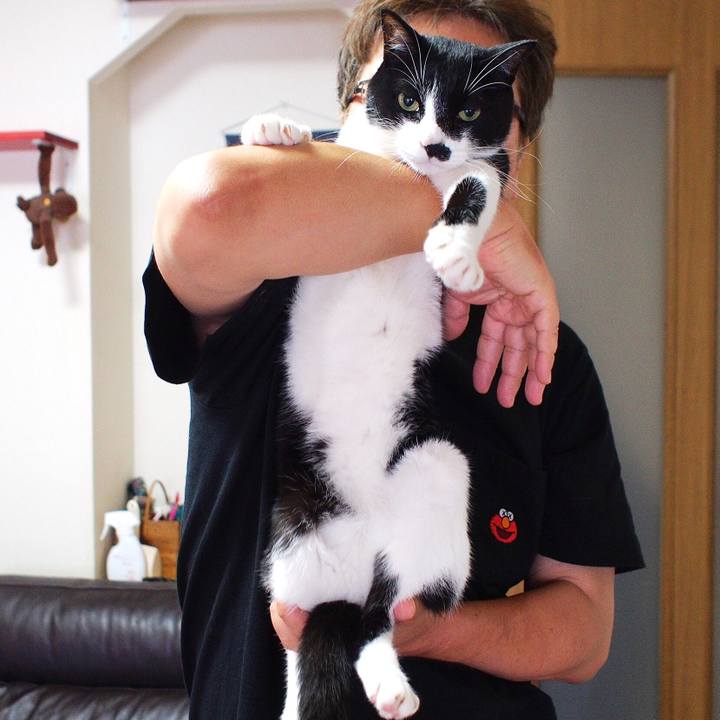 27fc8d1d d41c 4ce5 a5eb 5cac112b3be1 1533453740976