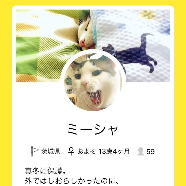 27fc9360 87d9 4972 bade a6fd2c97dbdc 1556610289036