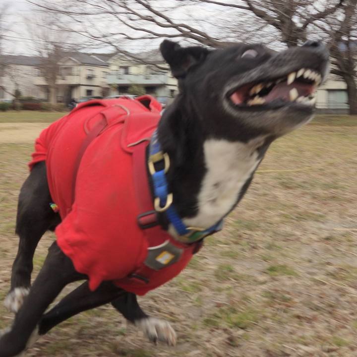 27fca26a 9dcd 47f1 a869 202adb9da87d 1675388033739