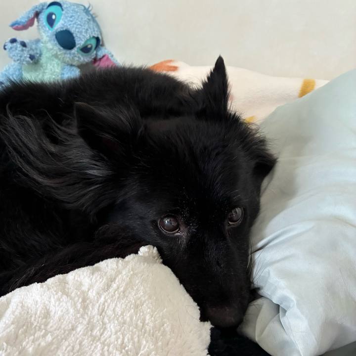 27fca2fe 7ce0 40af 9a8b 25782cb2d0b0 1763622606154