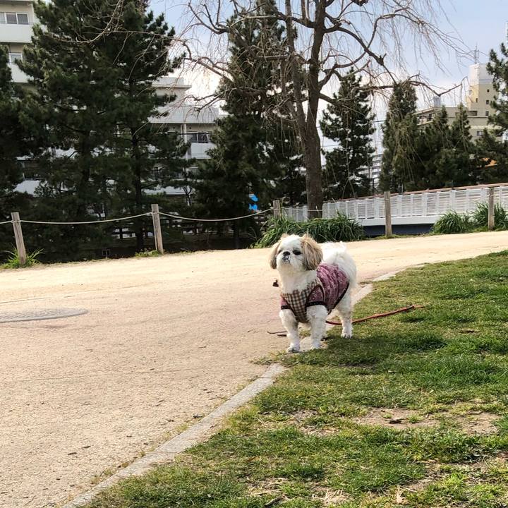 27fce240 c189 4749 a9ff 6e6a4166cc3b 1553550050661