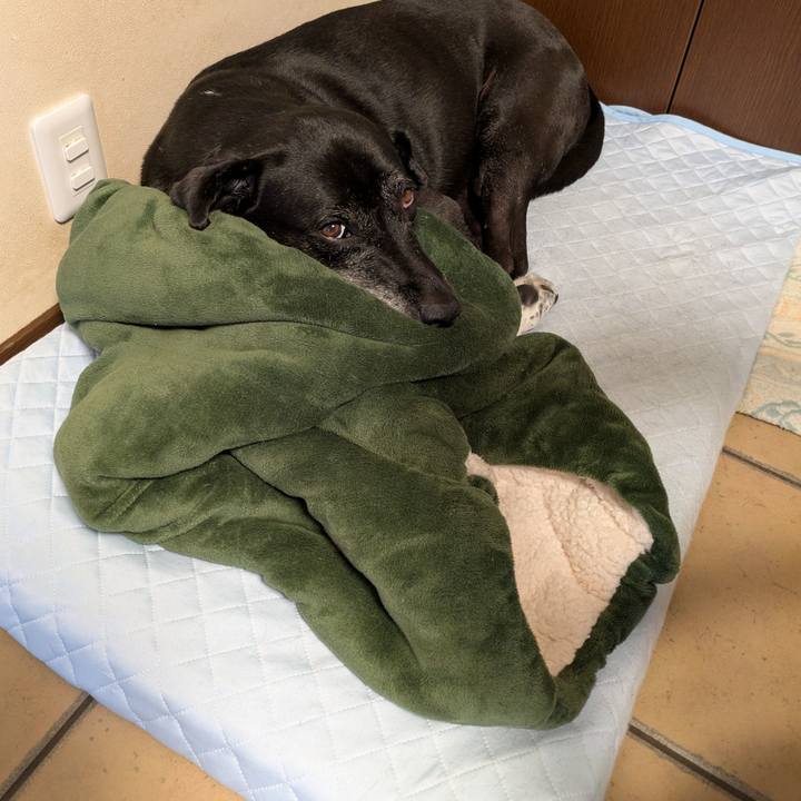 27fcfbc1 74cd 47ab ab9b 62a4208afc11 1752959618391