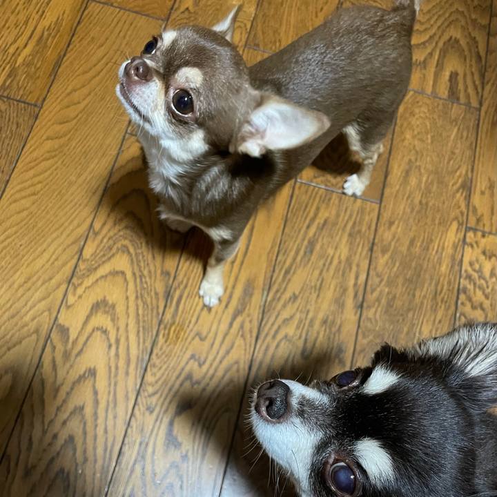 27fd220f 8f63 4e6d a125 4995caa86b78 1655254734734