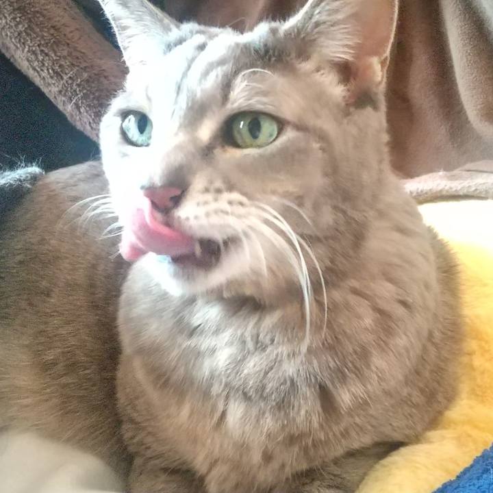 27fd33a7 238a 482e 9aca 58b19ef25d3a 1645674020741