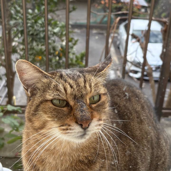 27fd482c e9f4 46af 84d3 17c84de7b357 1764215051575