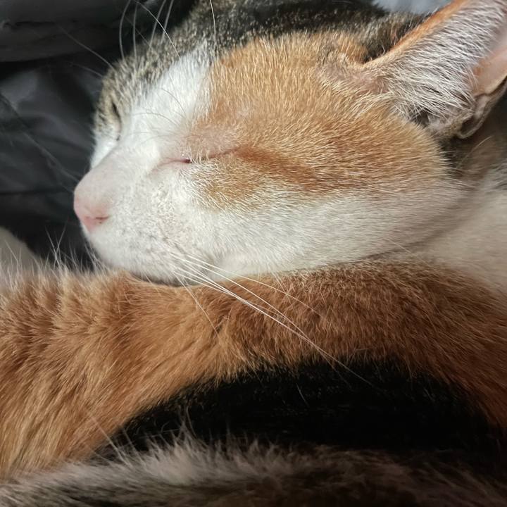 27fd57ba d29c 48fb 9fa8 f114a8fd7480 1647813395961