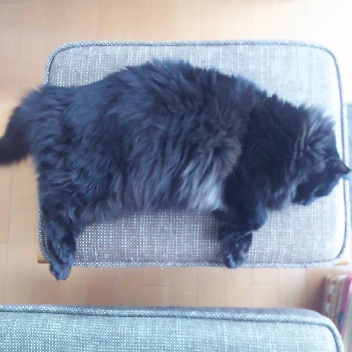 27fd7396 5c56 4404 a1cd 32ba6d242df8 1546055709923