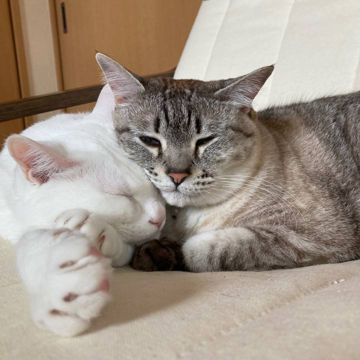 27fd87b7 c4f2 4b24 ac4b 9c512c13aa4c 1652679384095