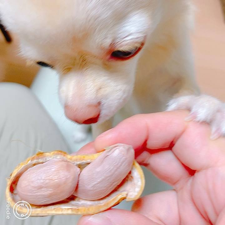 27fddadd d70f 4233 8eb6 3c60c752a7be 1633488147798