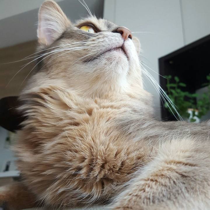 27fe63fb 2445 44d6 b99b 5376157f2262 1558757624898