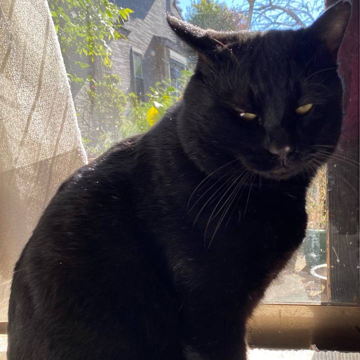 27fe9e4b 4cb1 4afb 9df4 43e192176b13 1636693972824