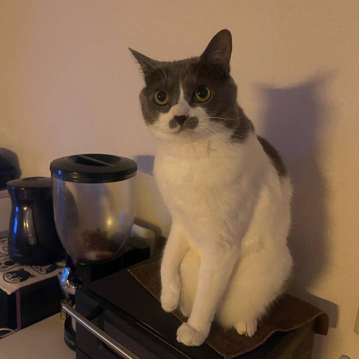 27feab11 ba86 4256 898c 8838b4cefa7d 1749766374487