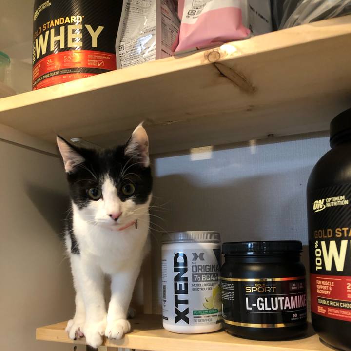 27feee2f c1b8 4fbc 95bf 10d5d7d24e00 1618315971962