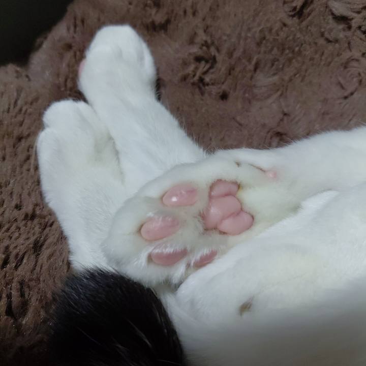 27feee64 051c 460b 8ce3 eb2522d52b7c 1773921279077