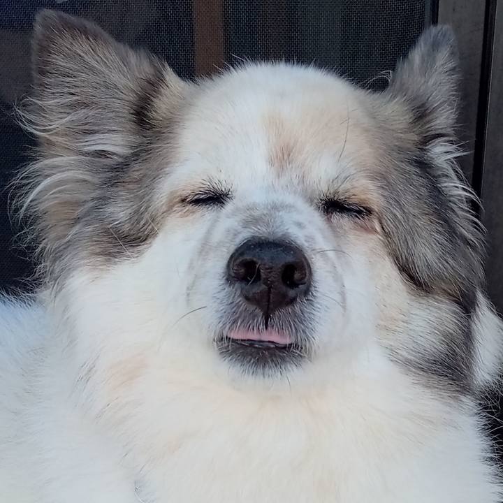 27ff19ef 4669 4755 bde5 3690ea3d11ba 1653908651658