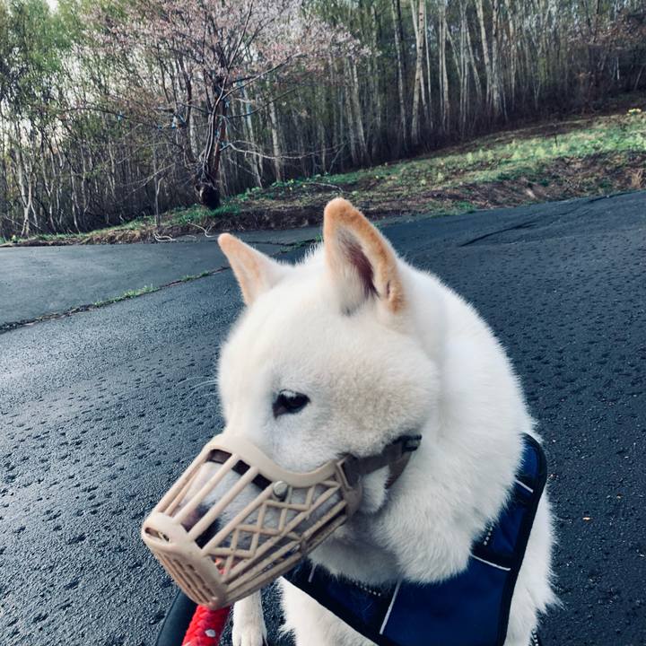 27ff1c39 70f5 45cb 84e9 f830095219f8 1651609488098