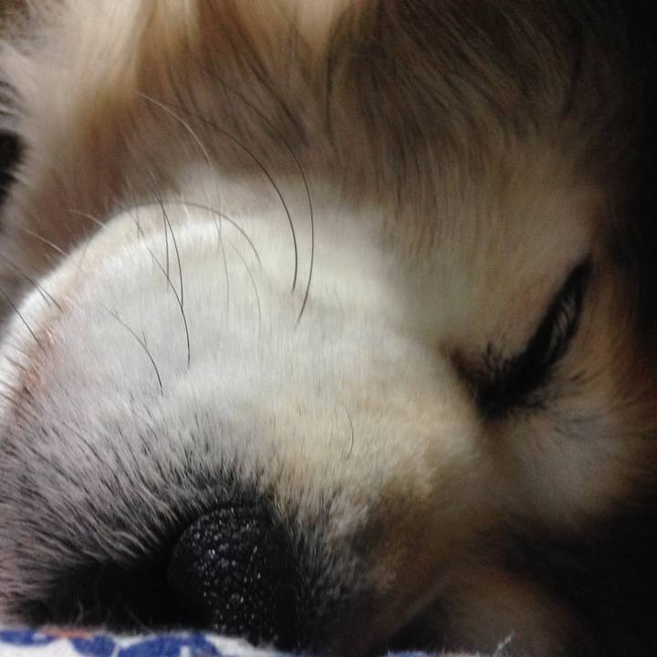 27ff679b 910b 4fc2 aec8 ab7936db0def 1601868856638