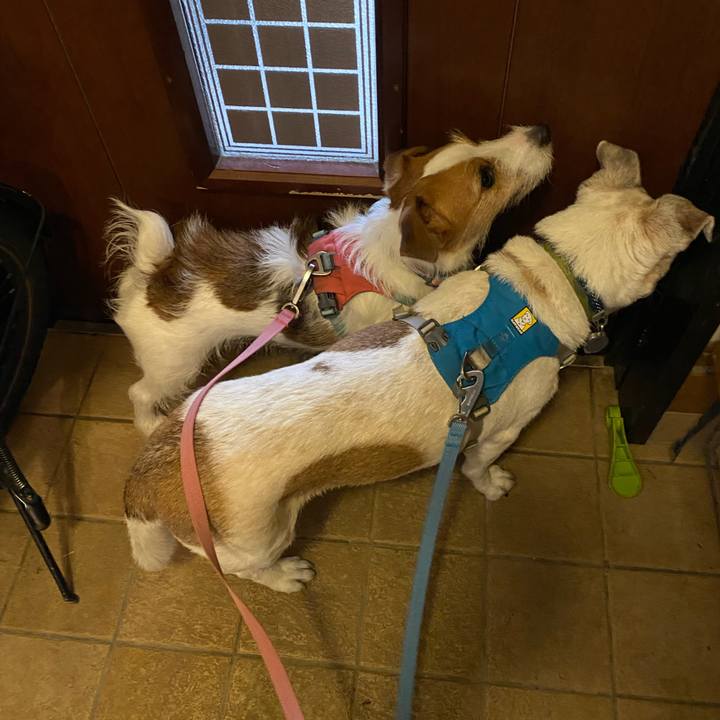 27ff6a08 d723 49bc abd2 224992817b43 1712789114246