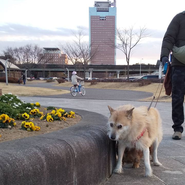 27ff6ddb 3944 4336 93a2 f387a9aa5bda 1547454352297