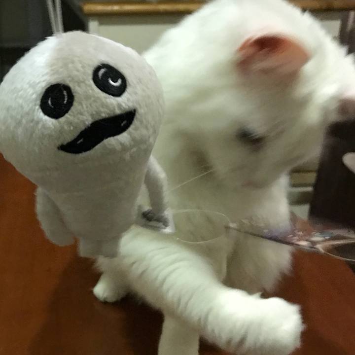 27ff7645 7dbf 4757 917e 3d995c2bba32 1529467665440