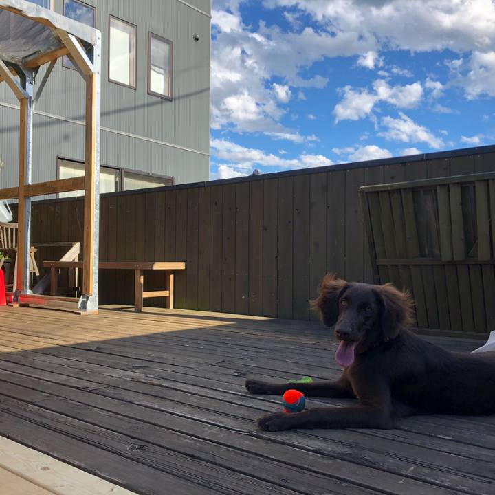 27ff7f2b 81fc 4b0f bf2f a526a9e0bb13 1560739722078