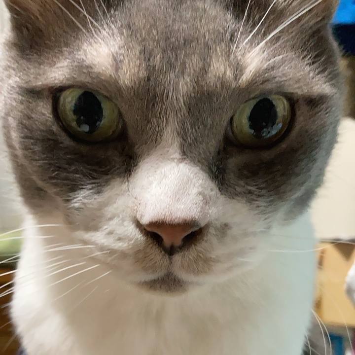 27ffae37 96d3 4673 9eb3 3481b5622ae3 1642943354707