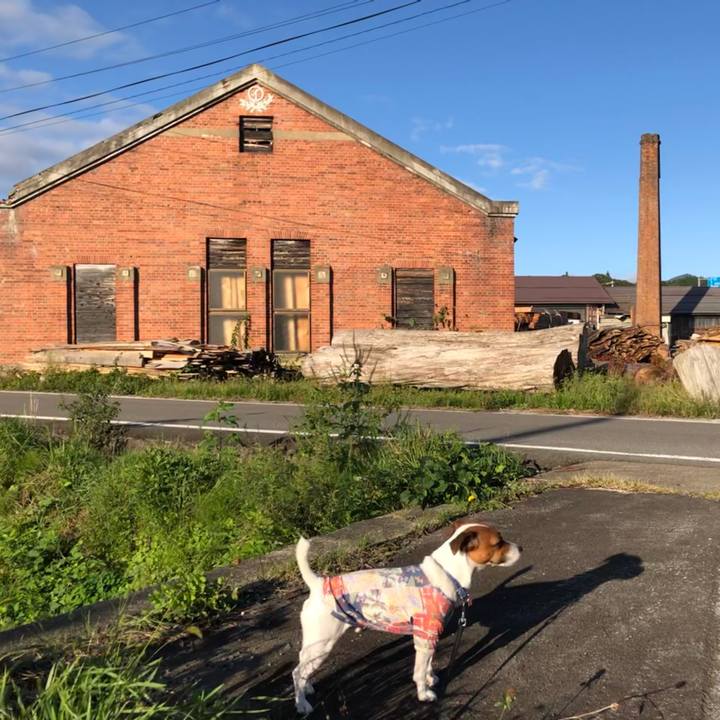 27ffb45d 3e38 4640 b981 eabefc0e997a 1601290316872