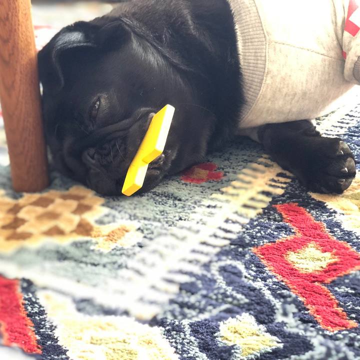 27fff4a2 dc0a 4f65 a2f9 bec348fba65f 1614334254894