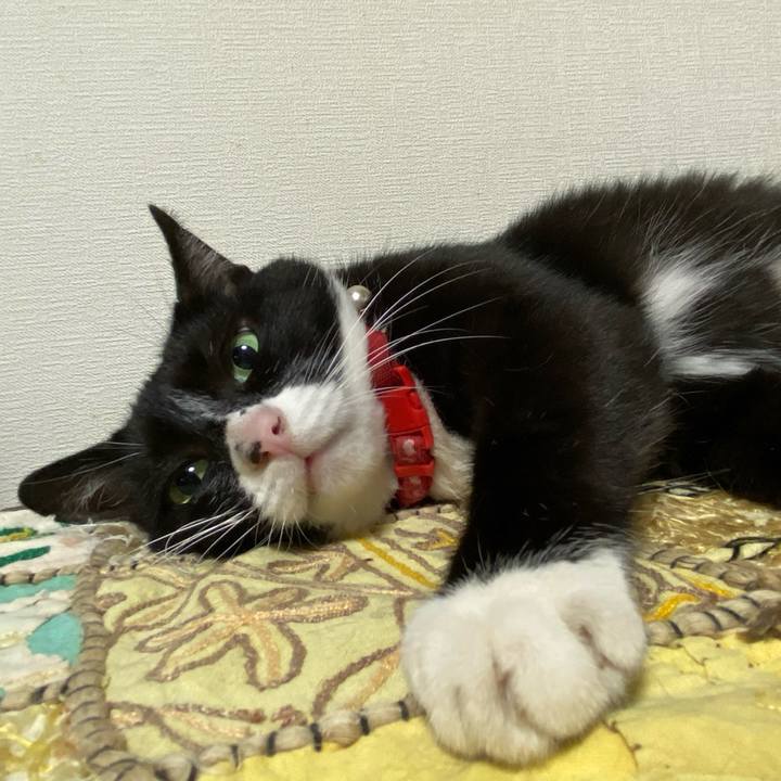 27fffa2b 0438 46af 8be9 e698bd12da6b 1626340330763