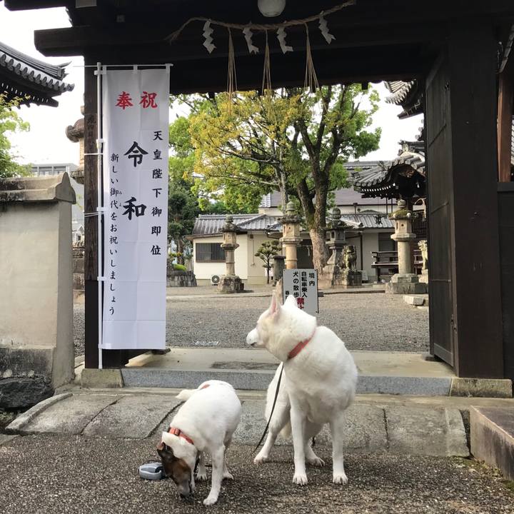 28000210 0424 47bb 8b0c 5ce217eef77f 1556842351322