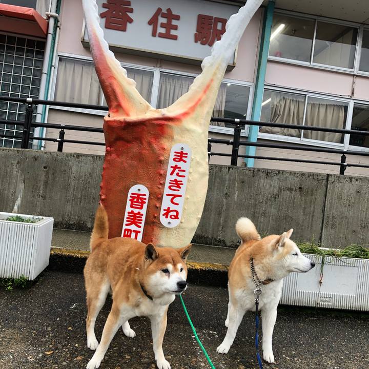 28000d13 26c1 40d4 8f13 495c5d92f838 1552794445471